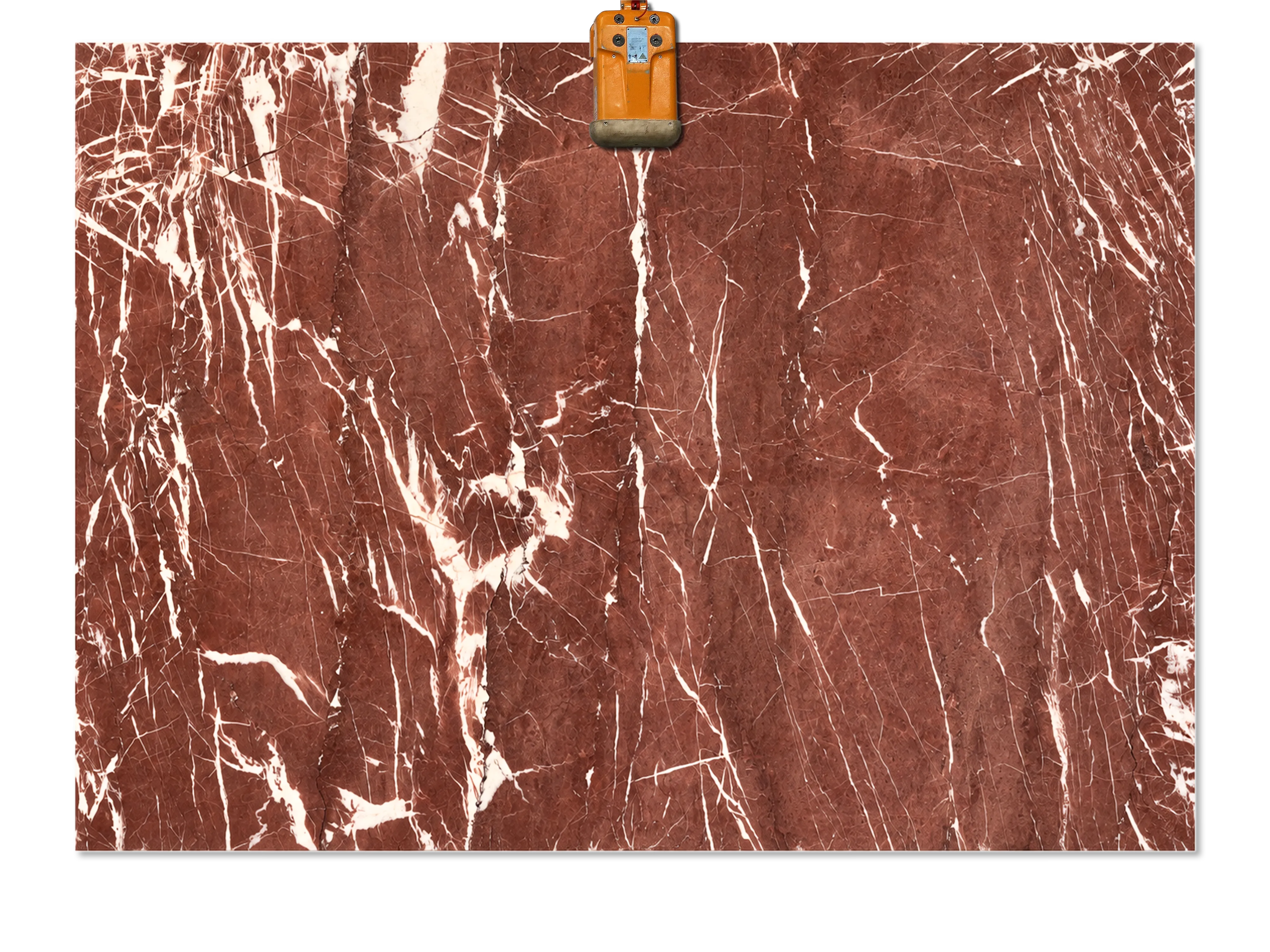 Rosso Antico marble slab with a deep red background, fine intersecting white veins, and bold branching white markings.