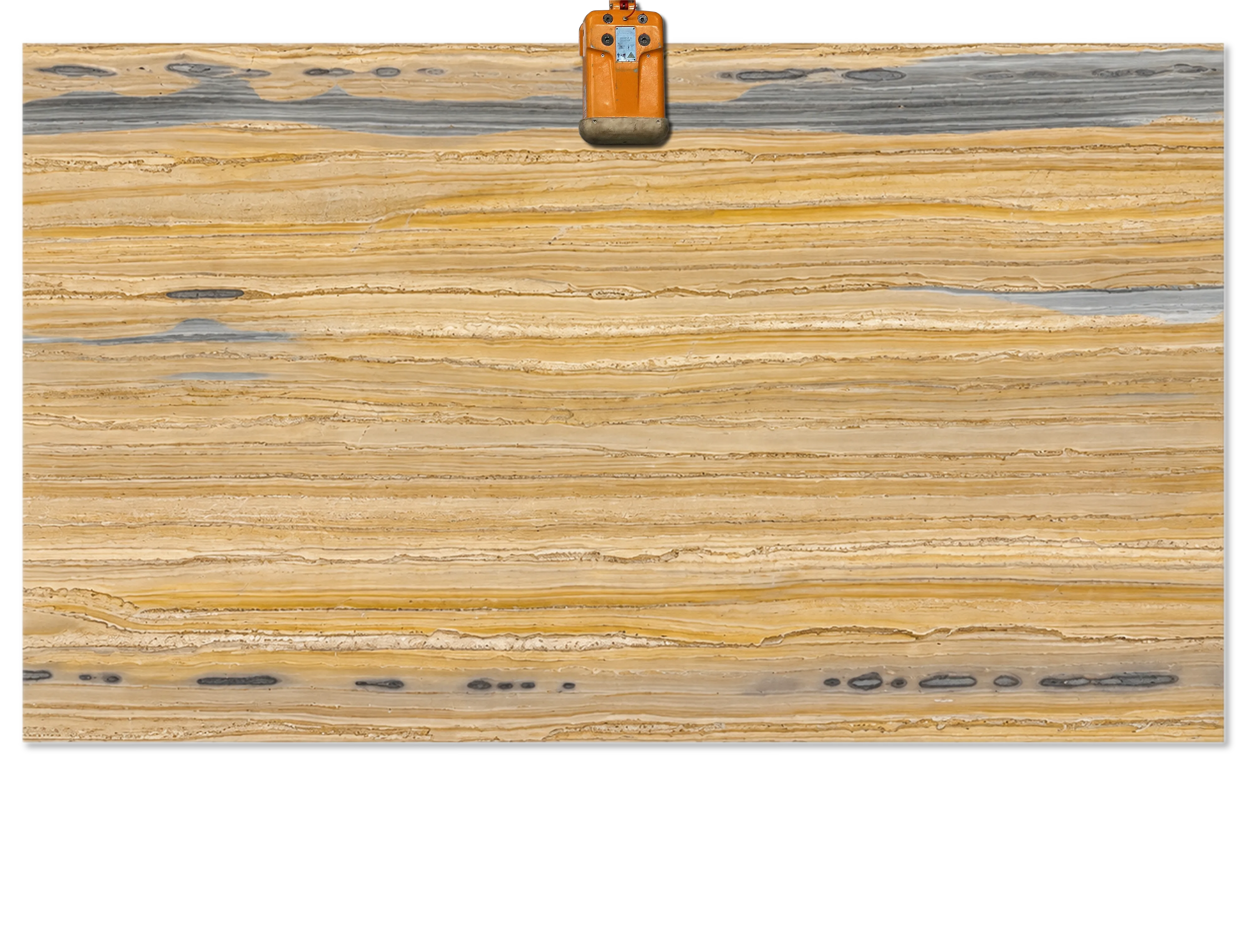 Yellow Bamboo quartzite slab with horizontal gold and cream layers, broad gray bands, and small oval markings.