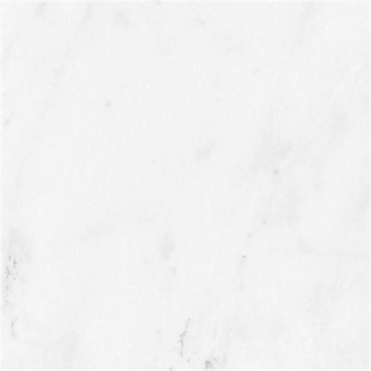 Honed Mugla White marble sample with a predominantly white surface and delicate pale gray veining.