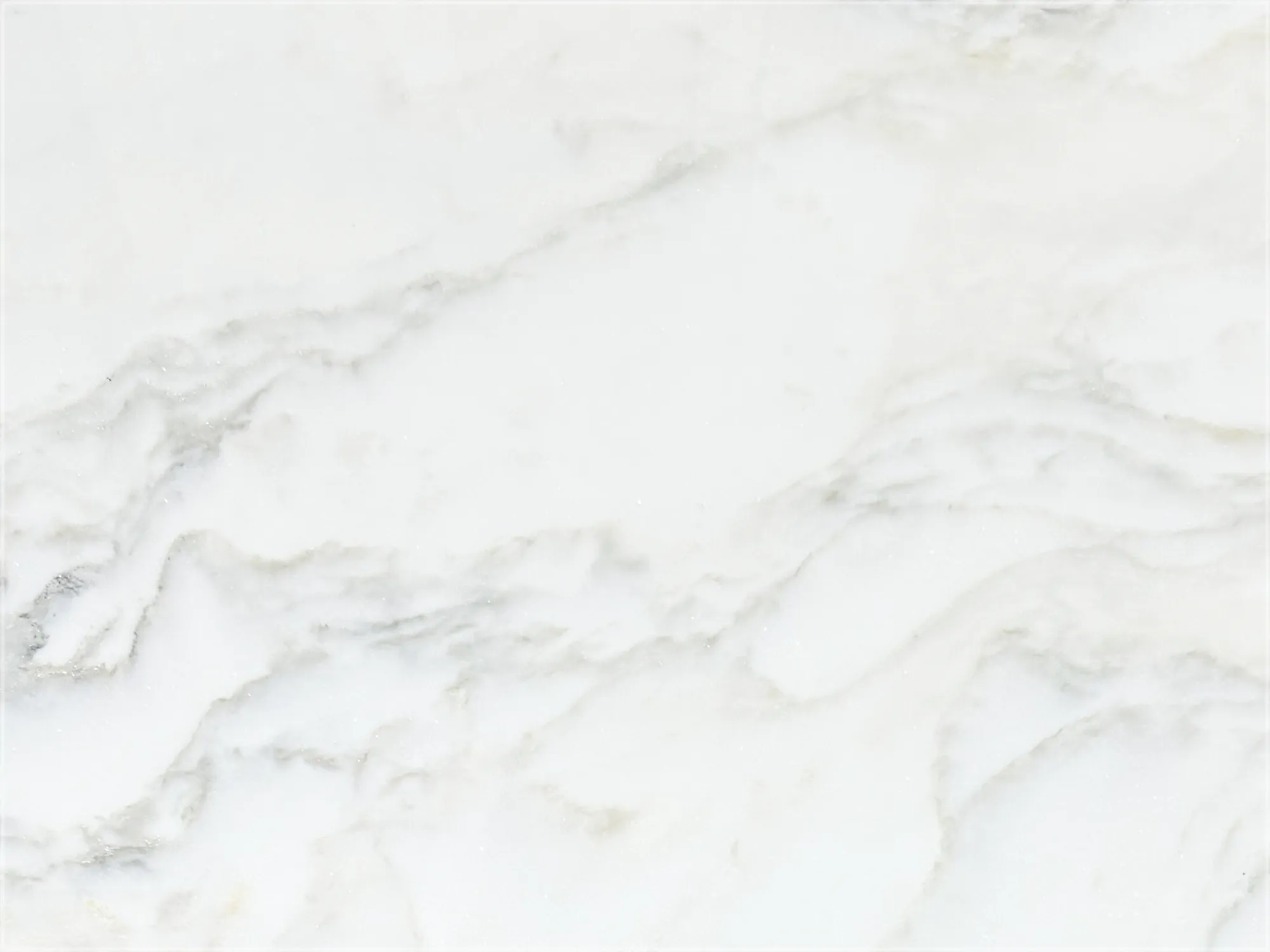 Calacatta Green marble tile with a white background, flowing gray veins, and subtle pale green undertones.