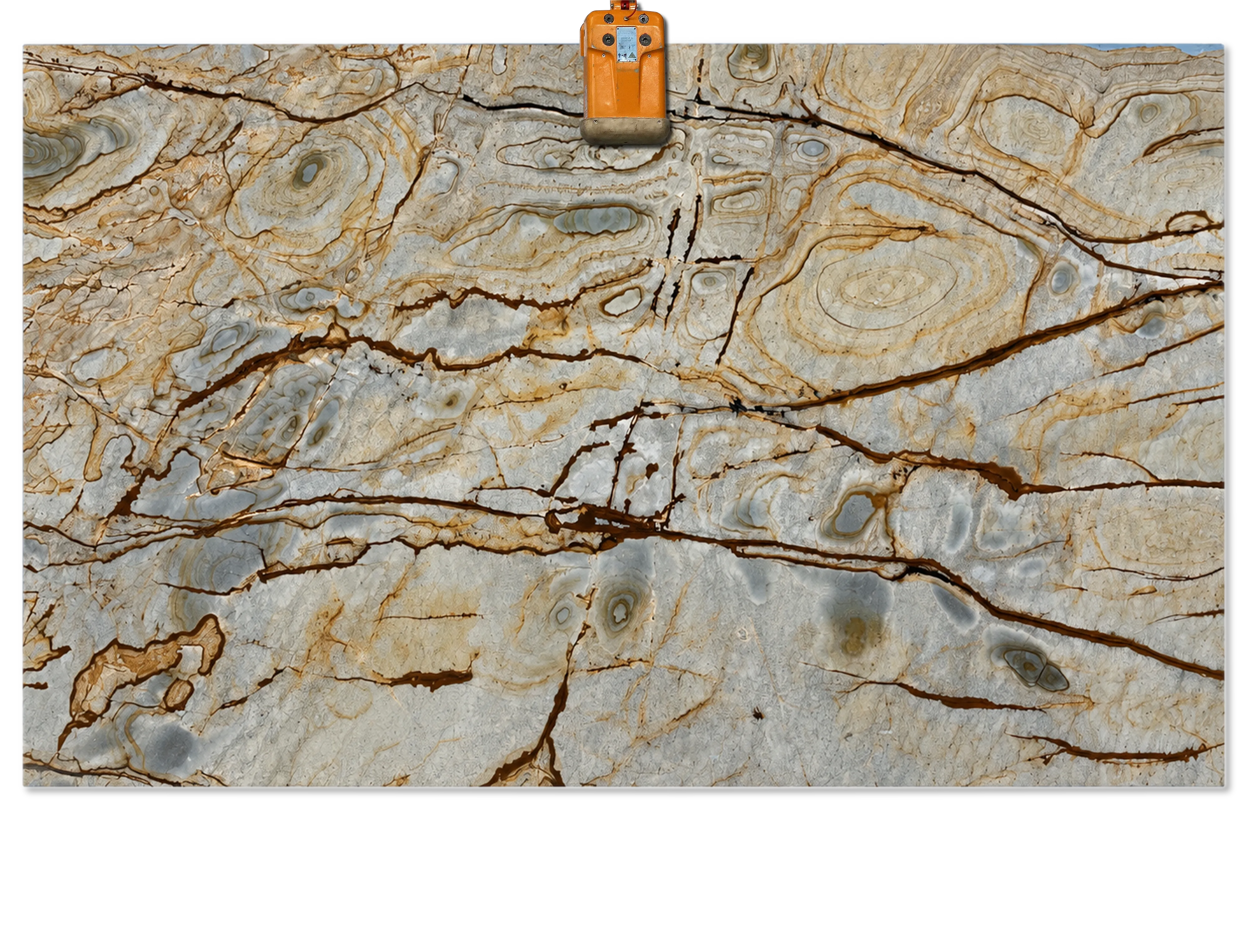 Blue Roma quartzite slab with pale blue-gray and cream tones, rounded layered patterns, and bold brown and gold veins.