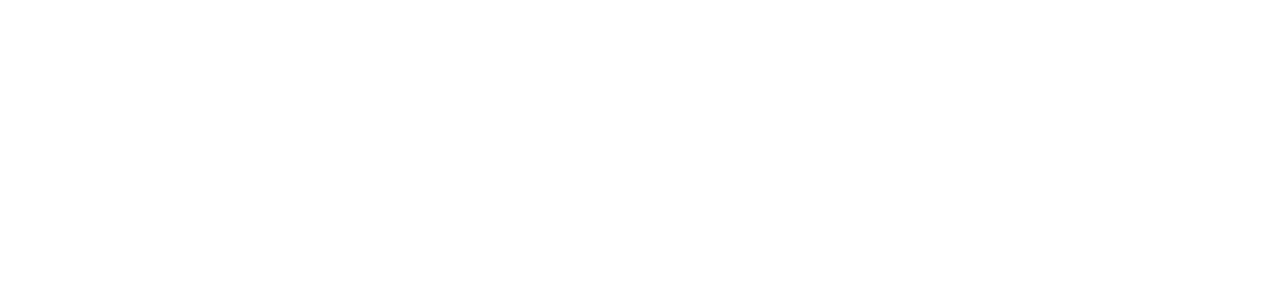 Brandfluencer