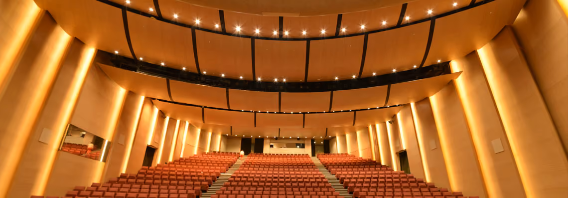 Curved Ceiling Panels by Perfopan