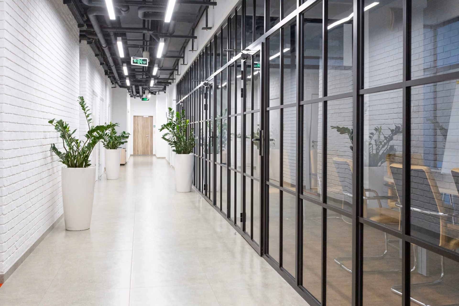 Bright office corridor with glazed partitions and potted plants