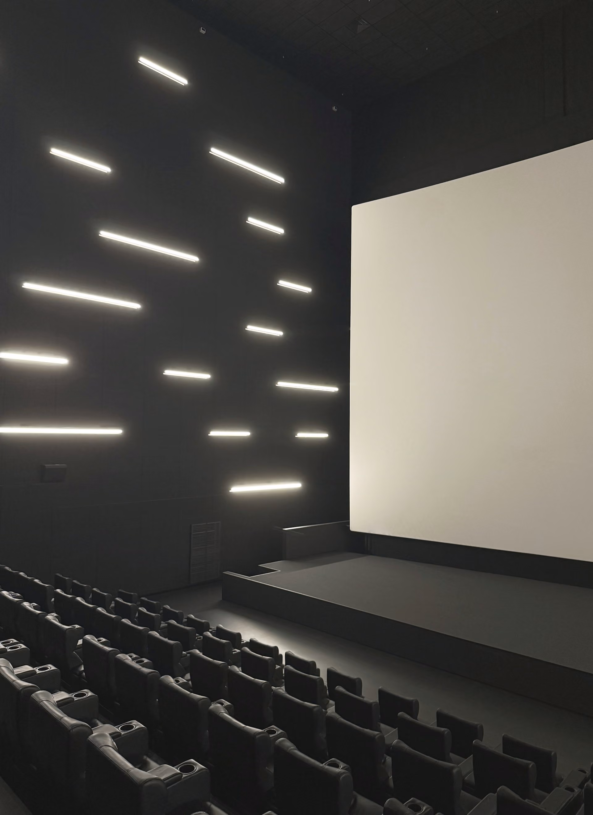 Cinema auditorium with a large screen and dark acoustic walls