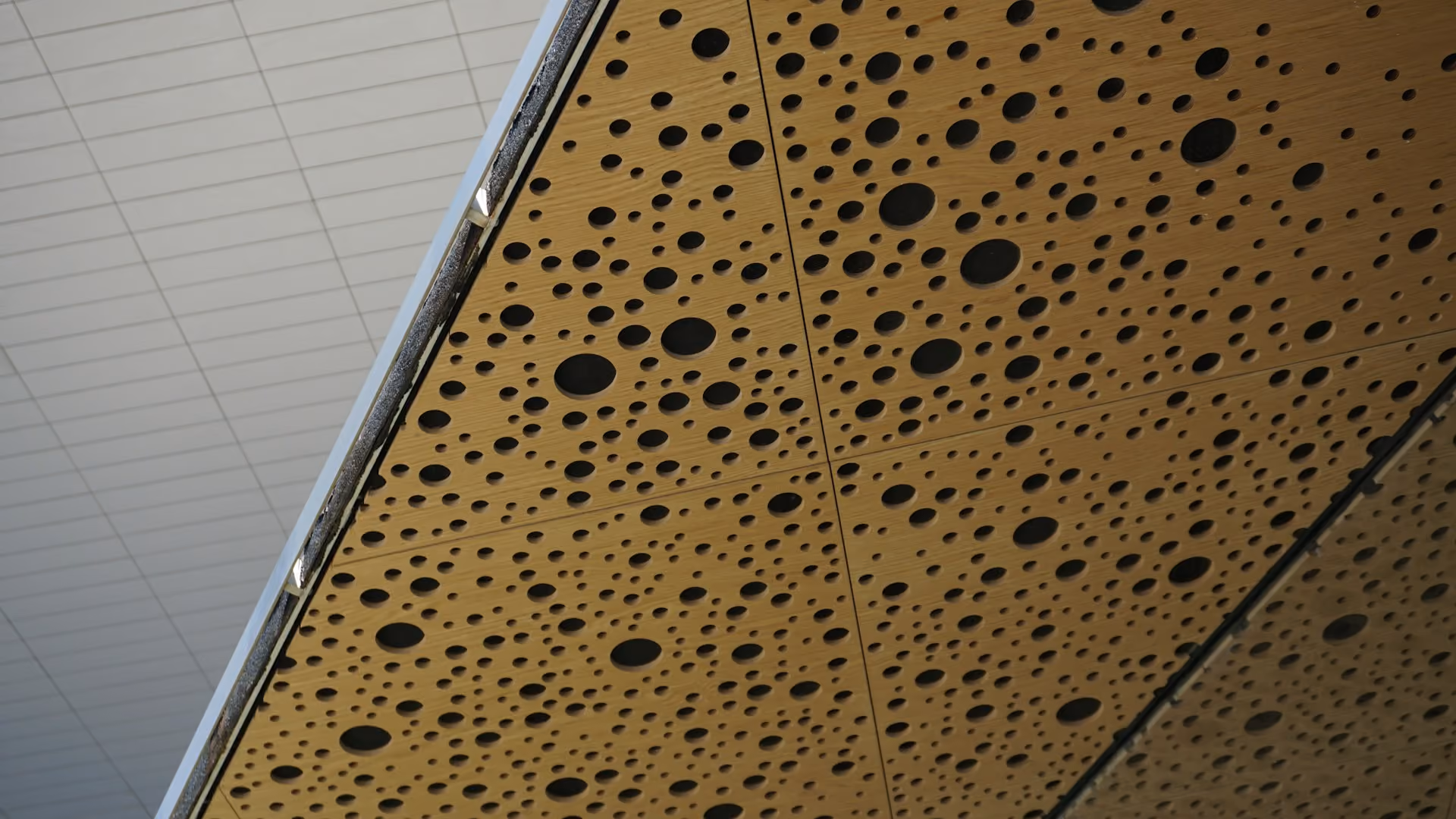 Acoustic Wood Panels: Perforated vs Grooved Explained