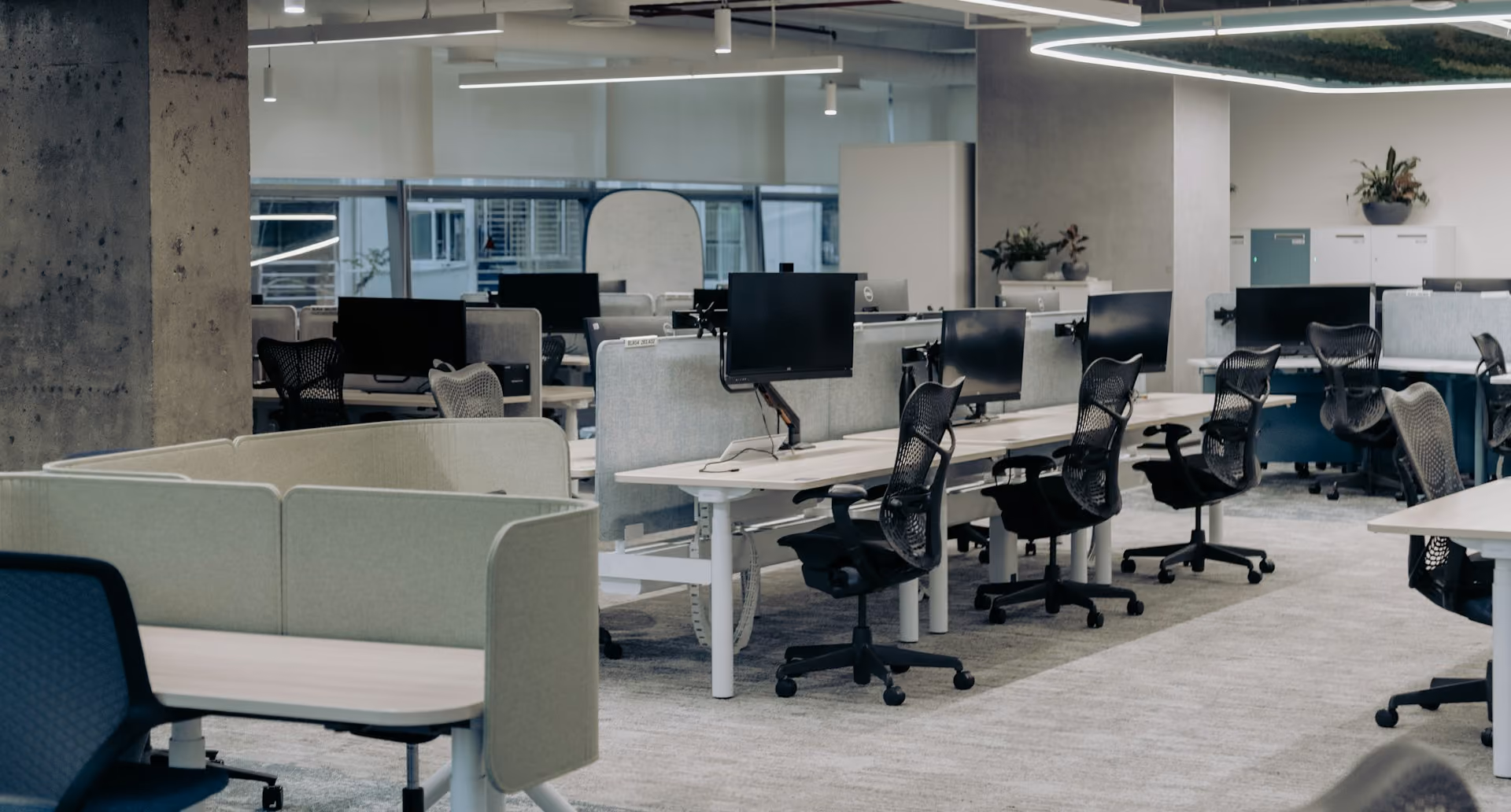 Calm open-plan office with rows of desks and soft seating booths