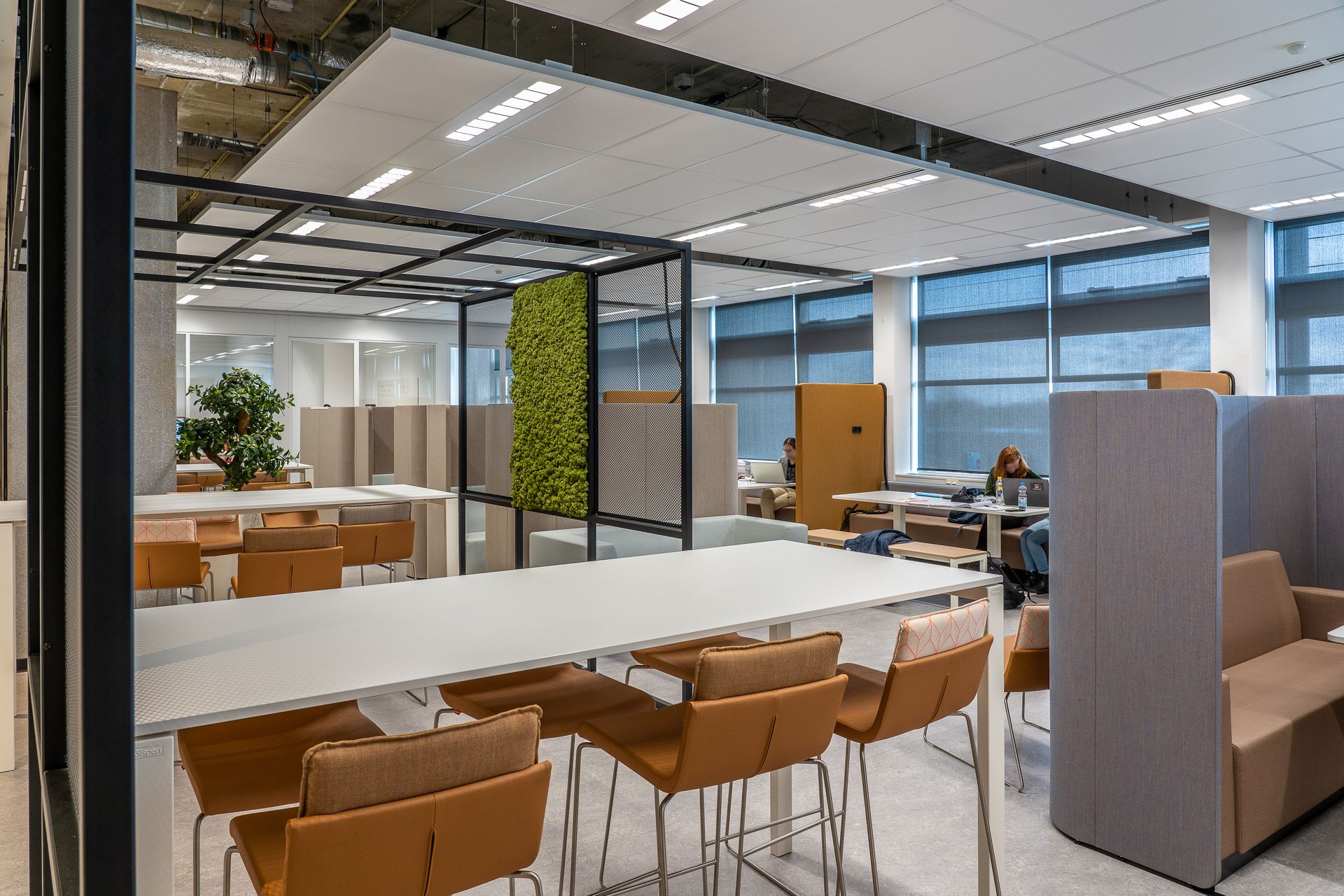 Office with acoustic ceiling, moss wall and upholstered meeting booths