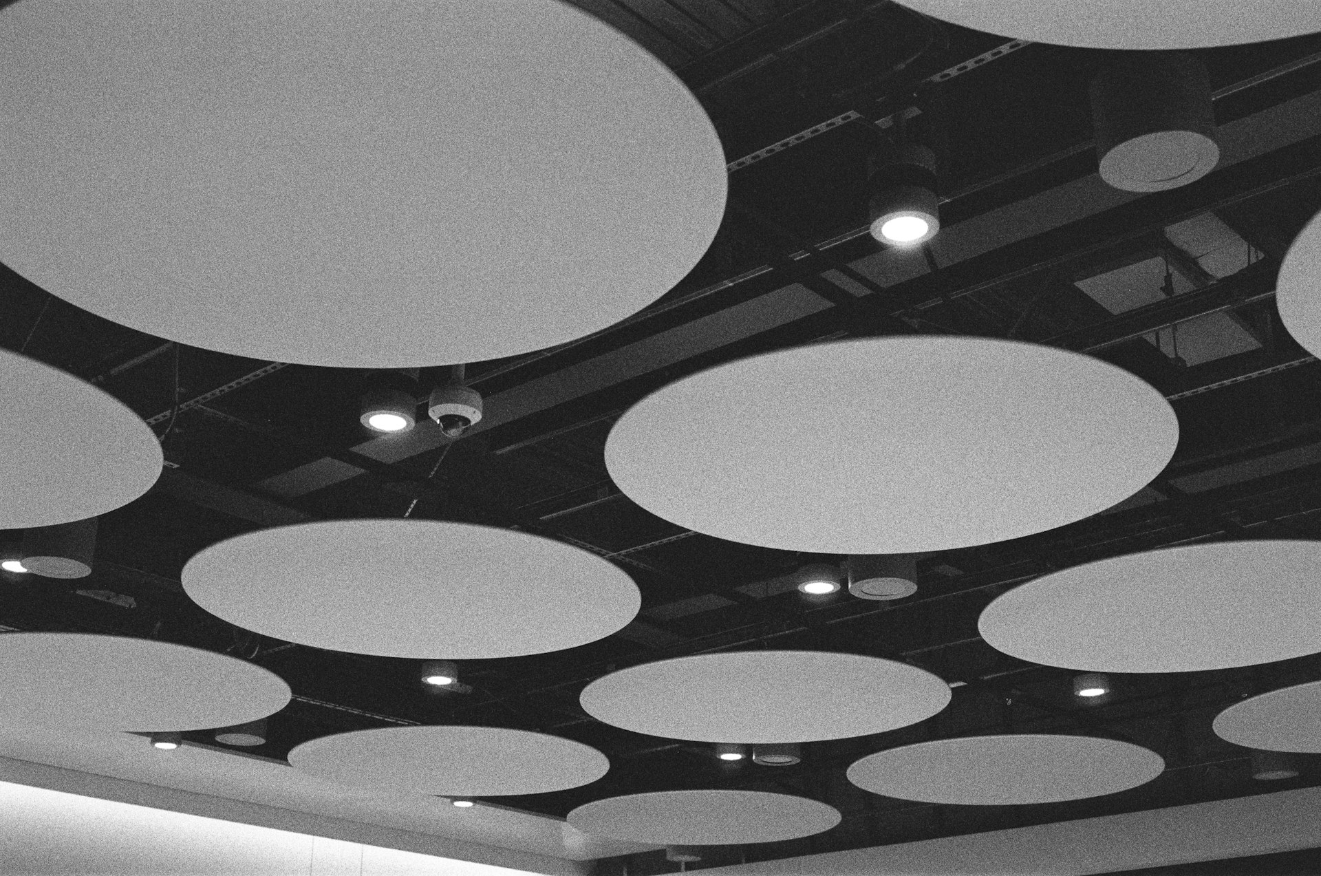 Circular white acoustic ceiling rafts with recessed lights