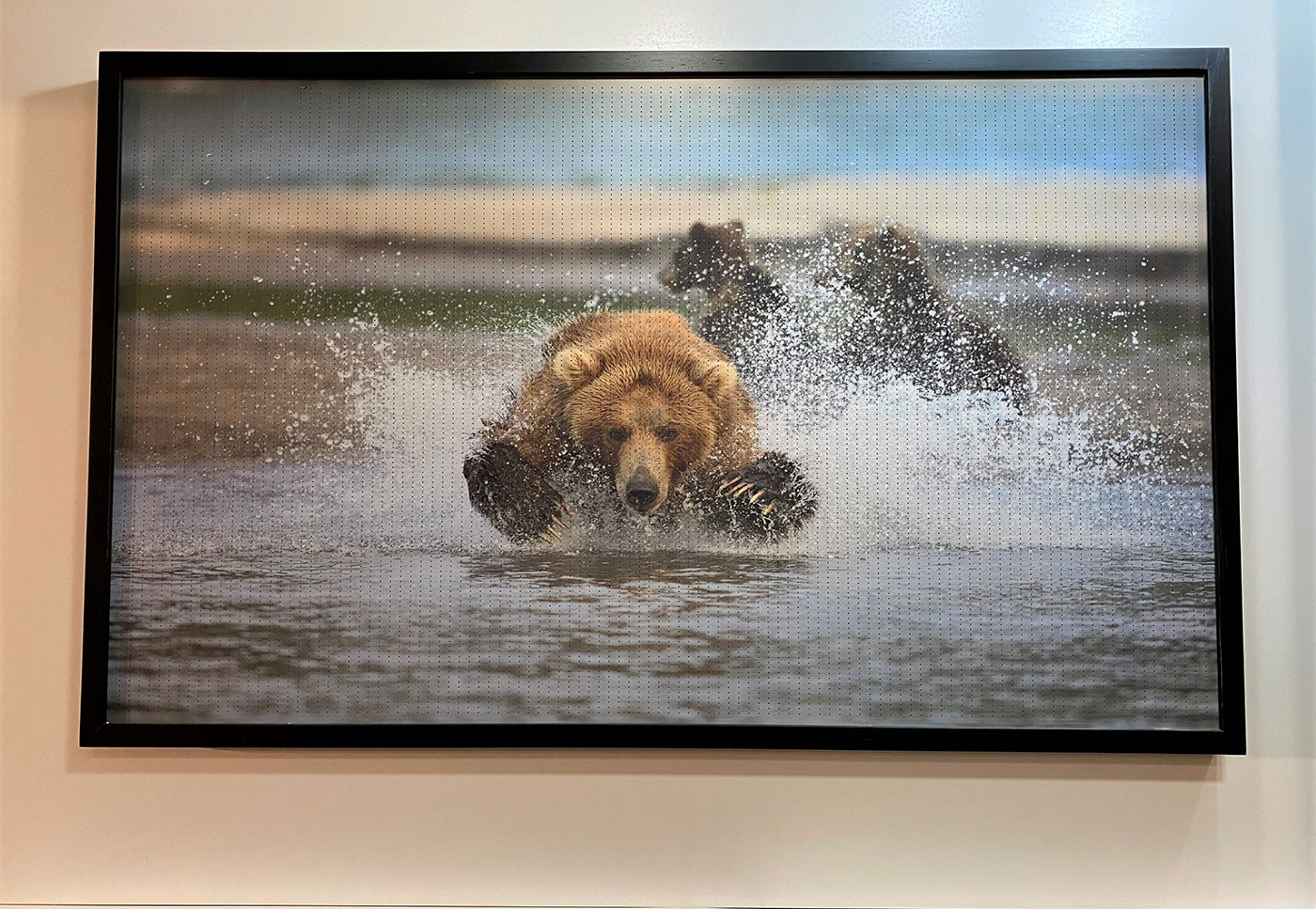 Printed acoustic art panel on a wall