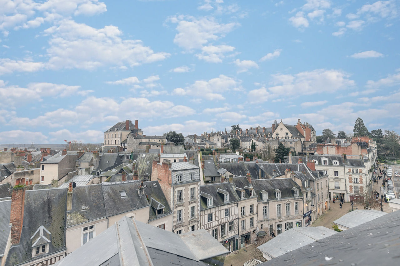 Views of the Royal Château and the rooftops of Blois