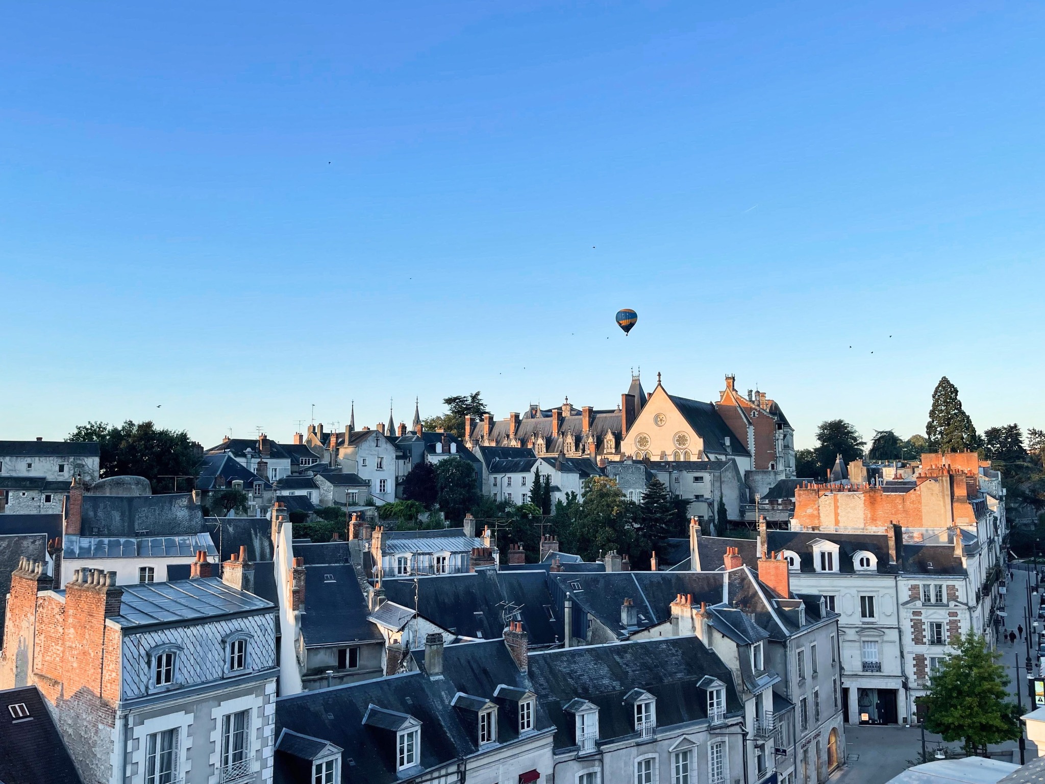 Les toits et le château de Blois, avec une montgolfière, photographiés depuis le Nid de Saint-Honoré.