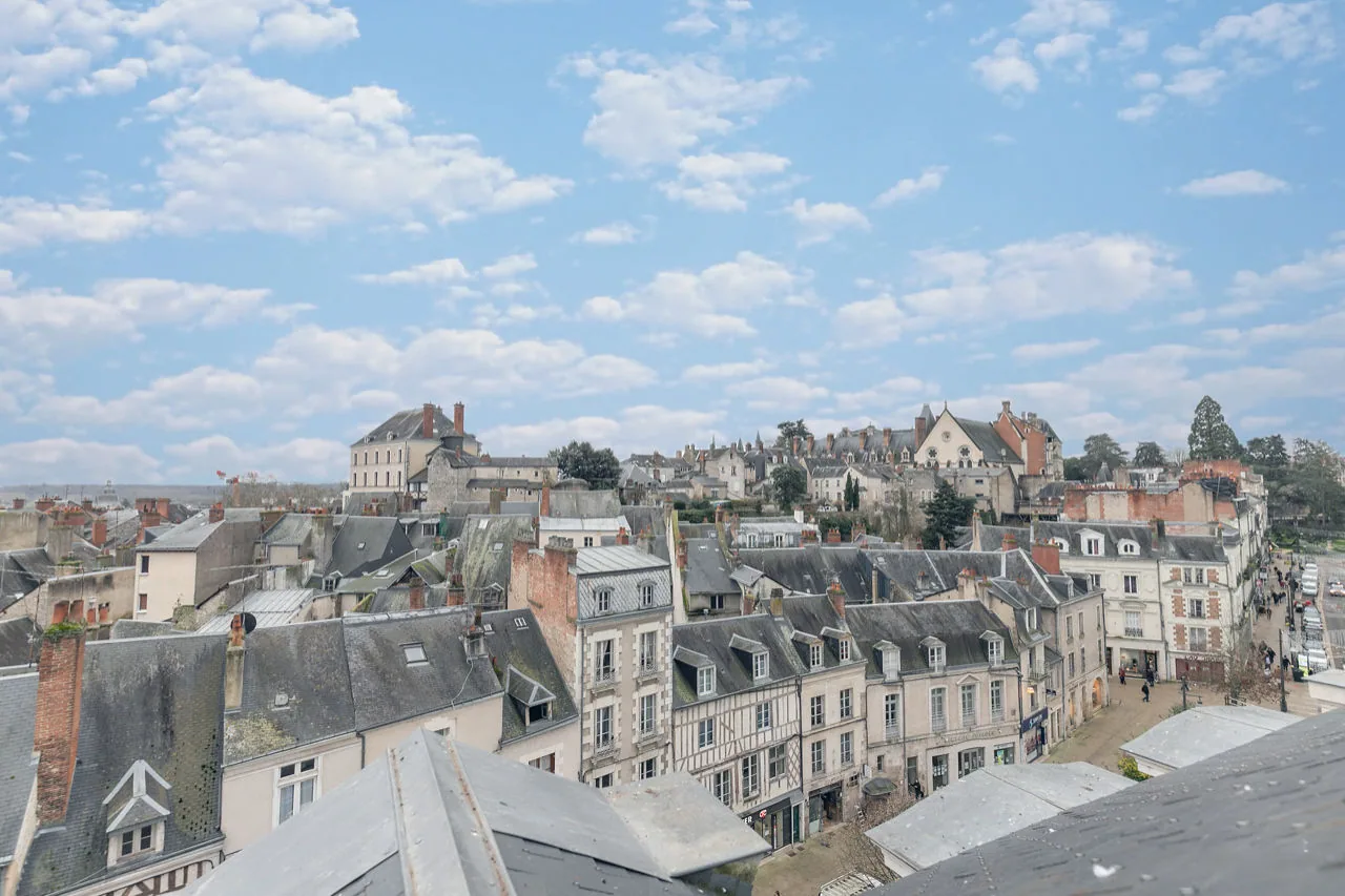 La vue sur le Château Royal et les toits de Blois