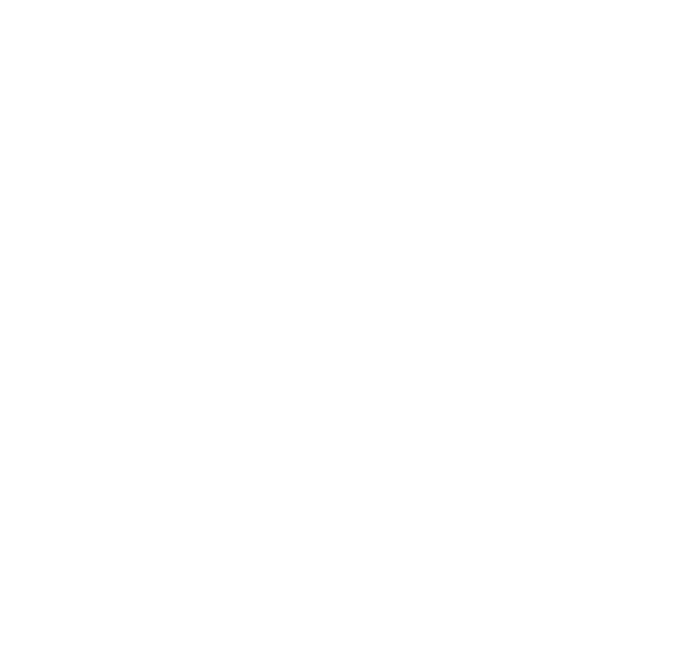 whatsapp icon