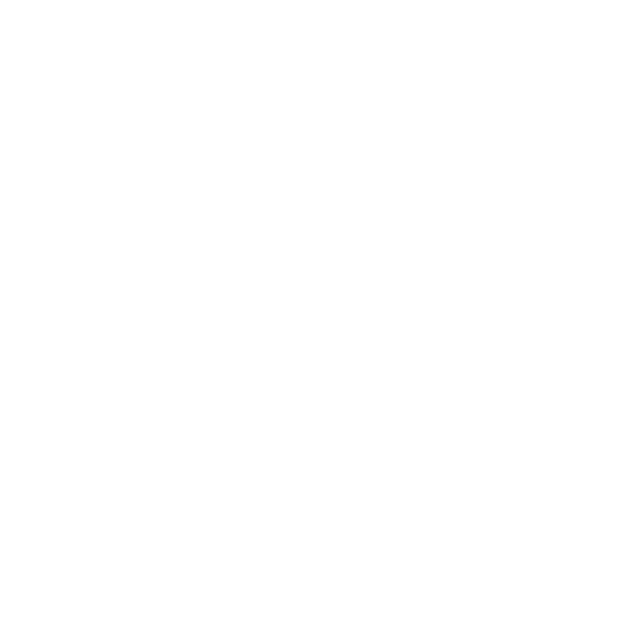 Instagram white icon