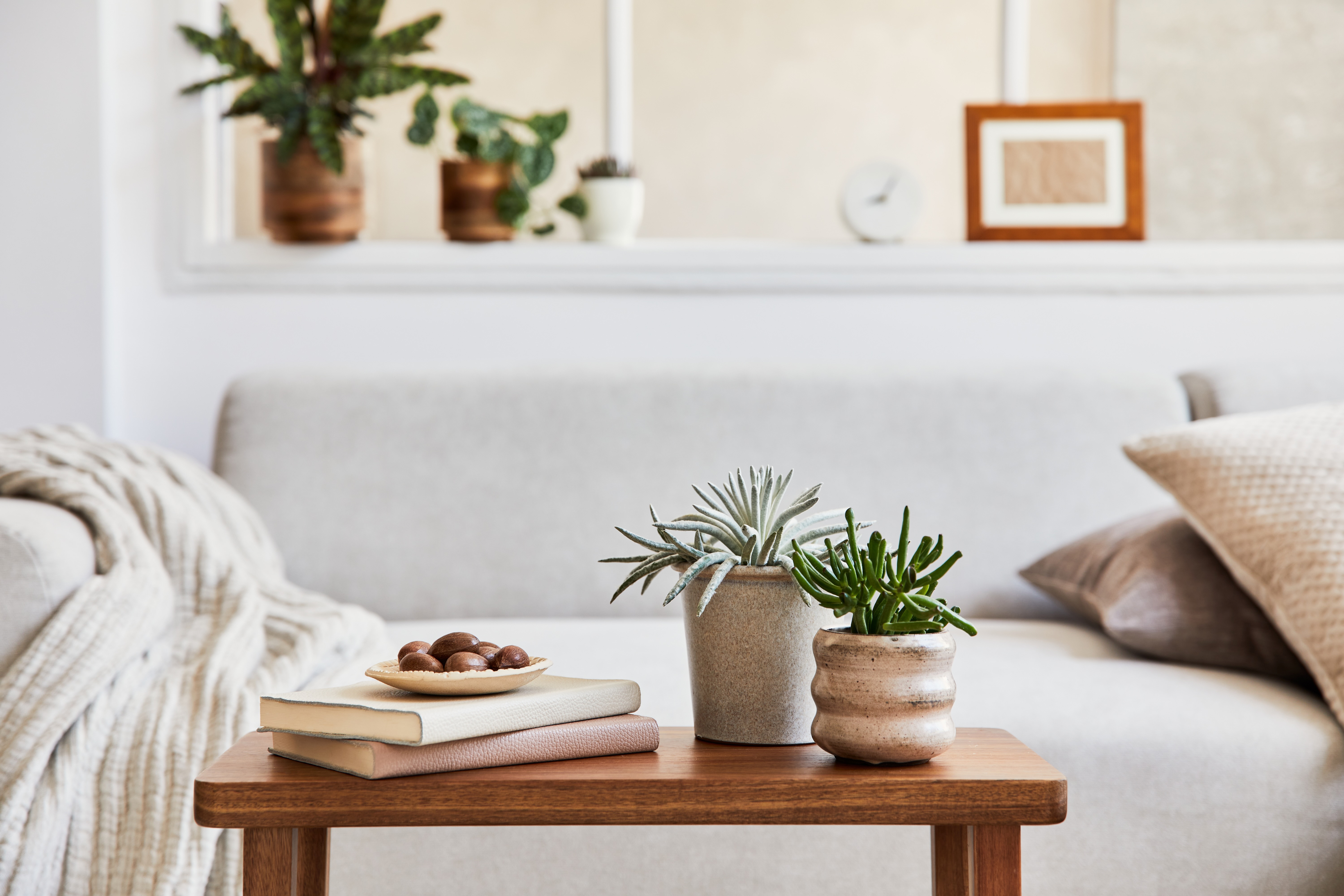 Living room details 