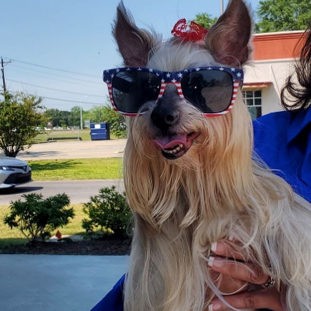 Carson Animal Hospital gallery photo 39