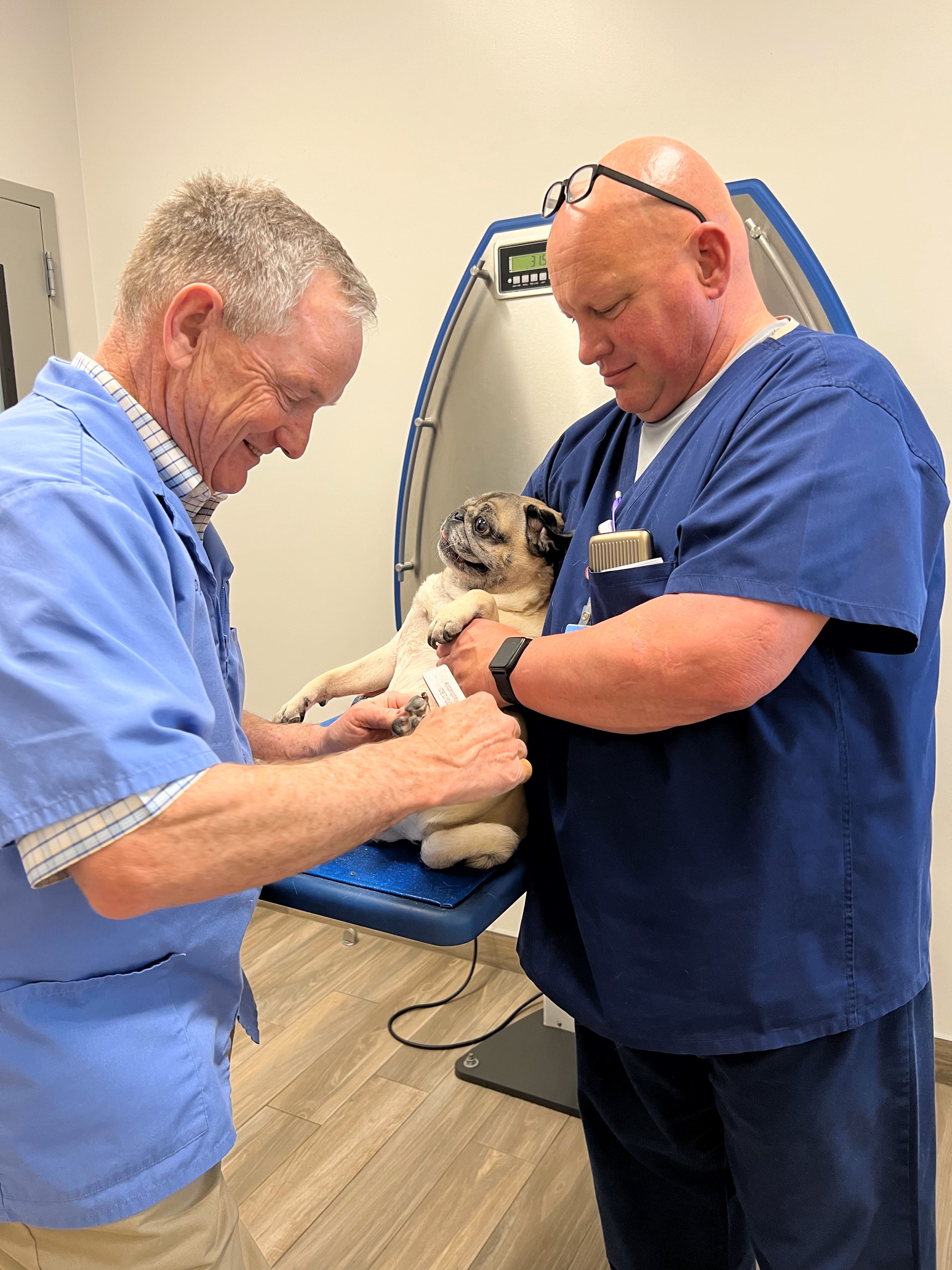 Carson Animal Hospital gallery photo 39