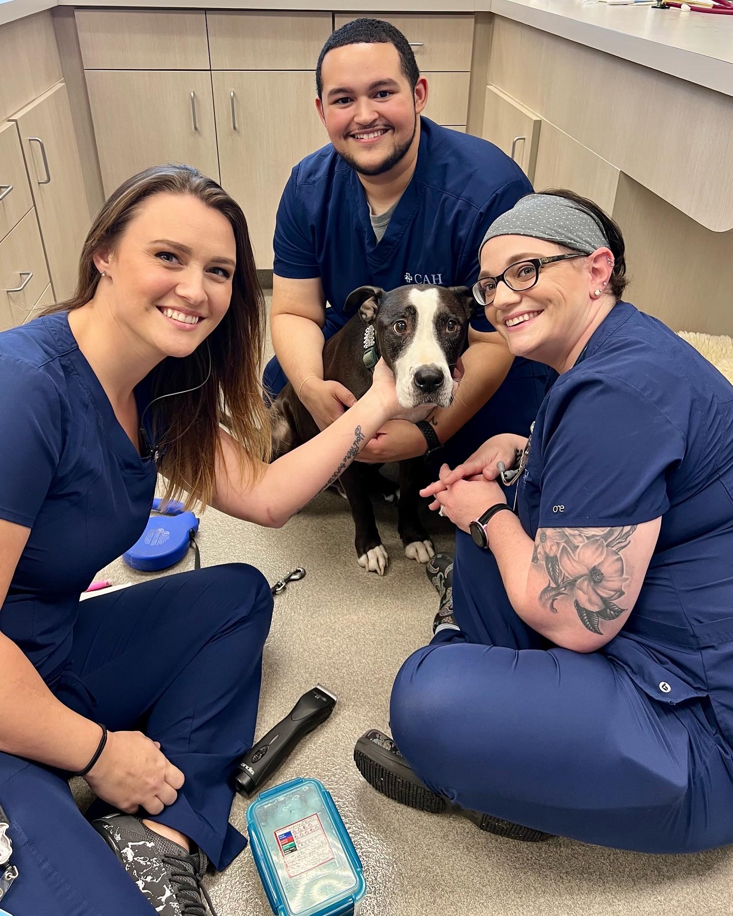 Carson Animal Hospital gallery photo 39