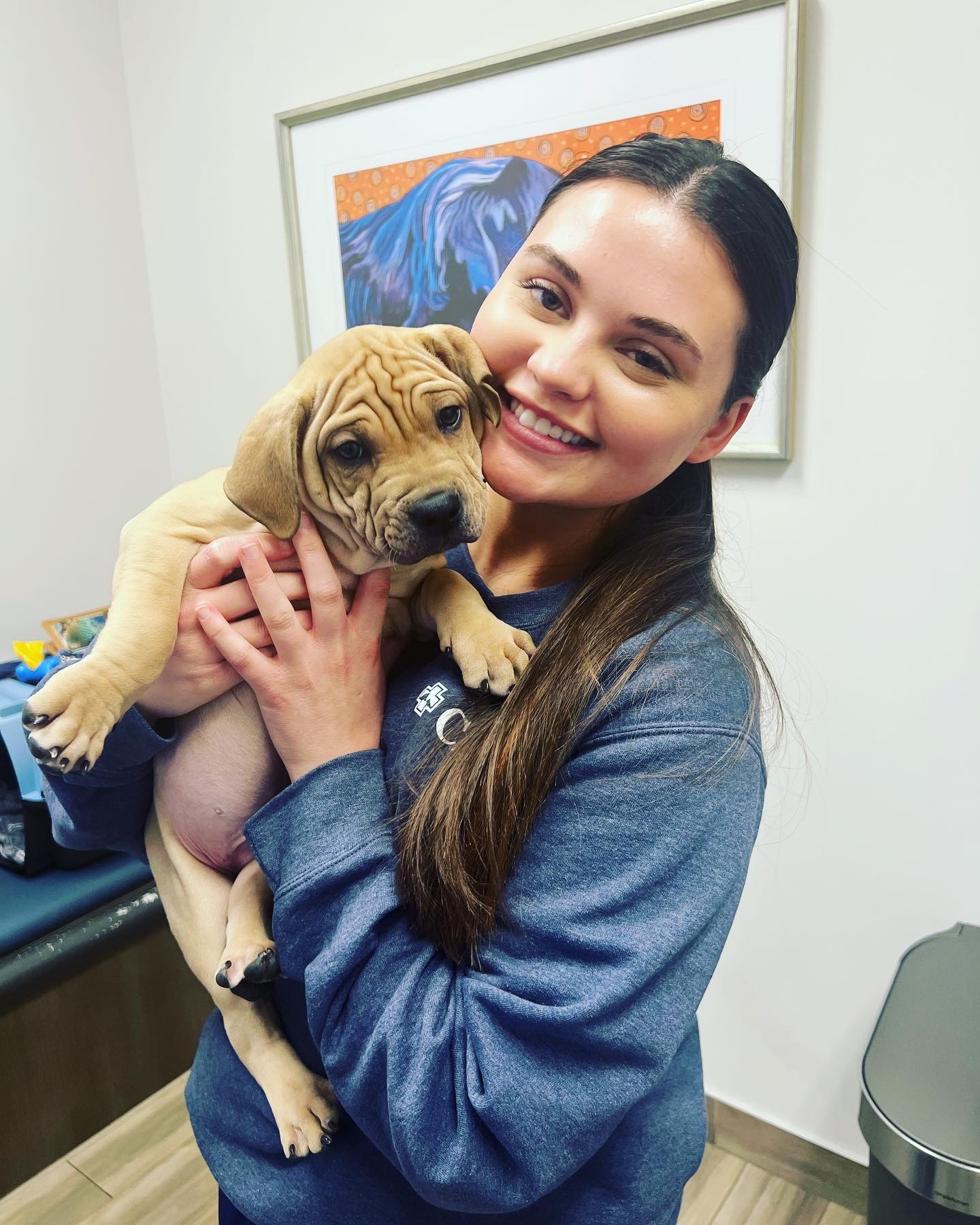 Carson Animal Hospital gallery photo 39
