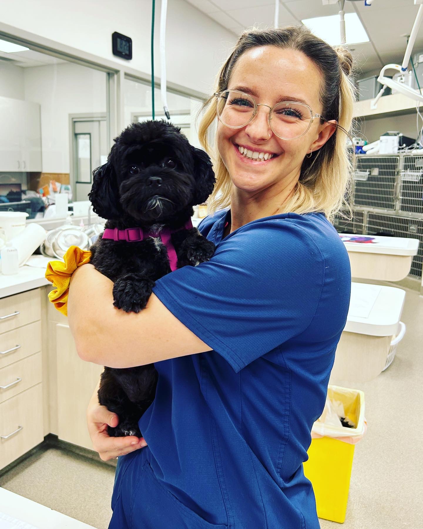 Carson Animal Hospital gallery photo 39