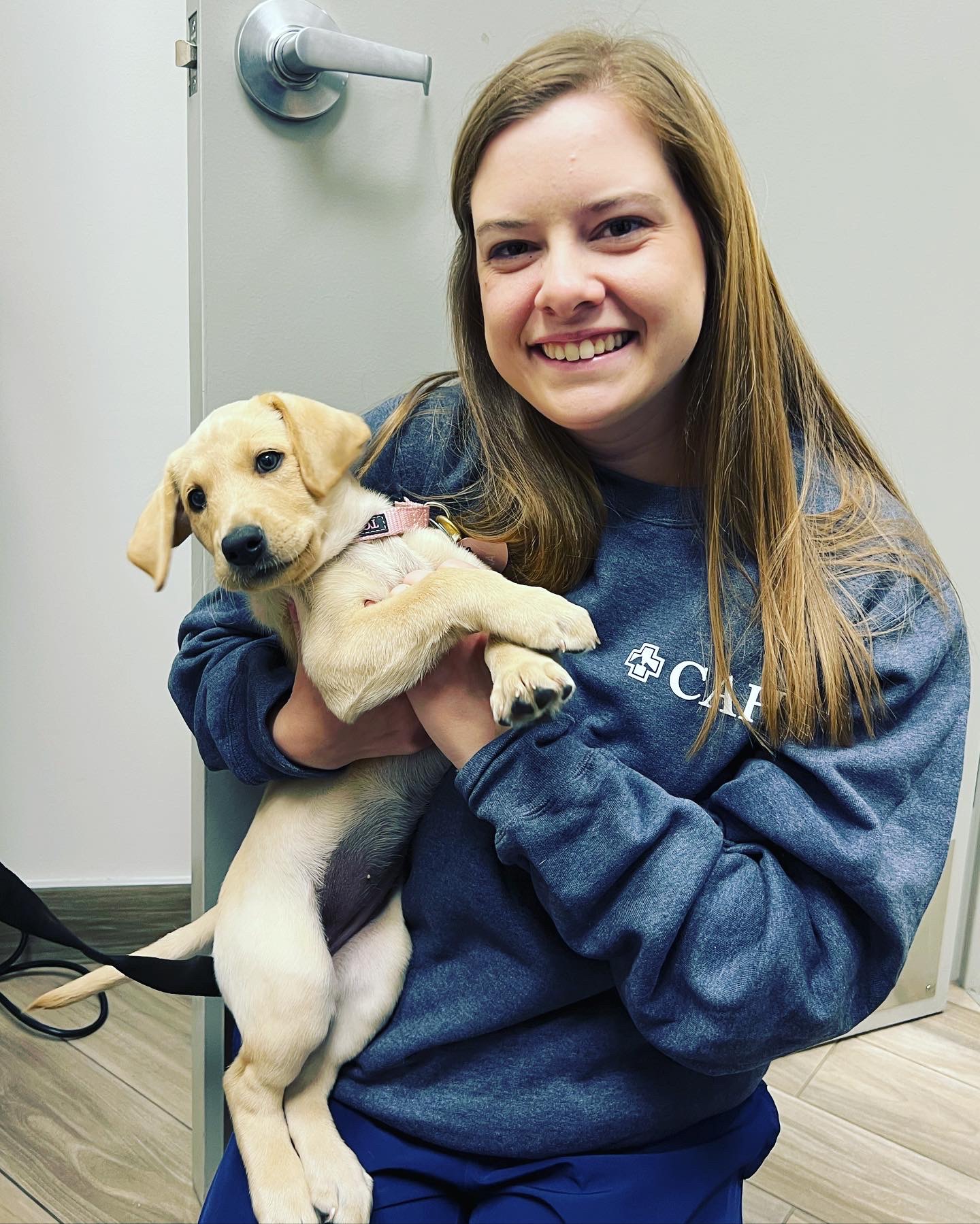 Carson Animal Hospital gallery photo 39