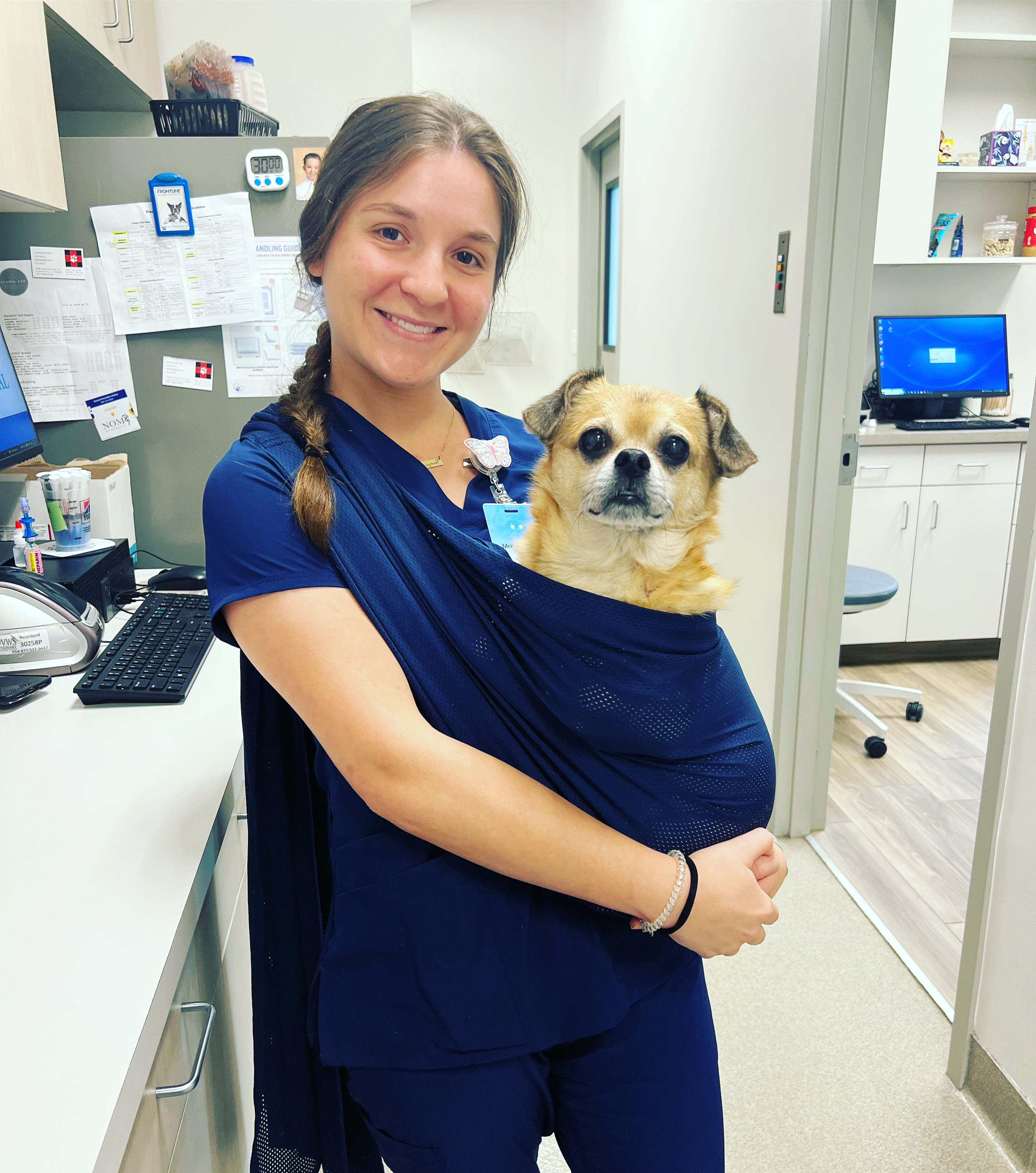 Carson Animal Hospital gallery photo 39