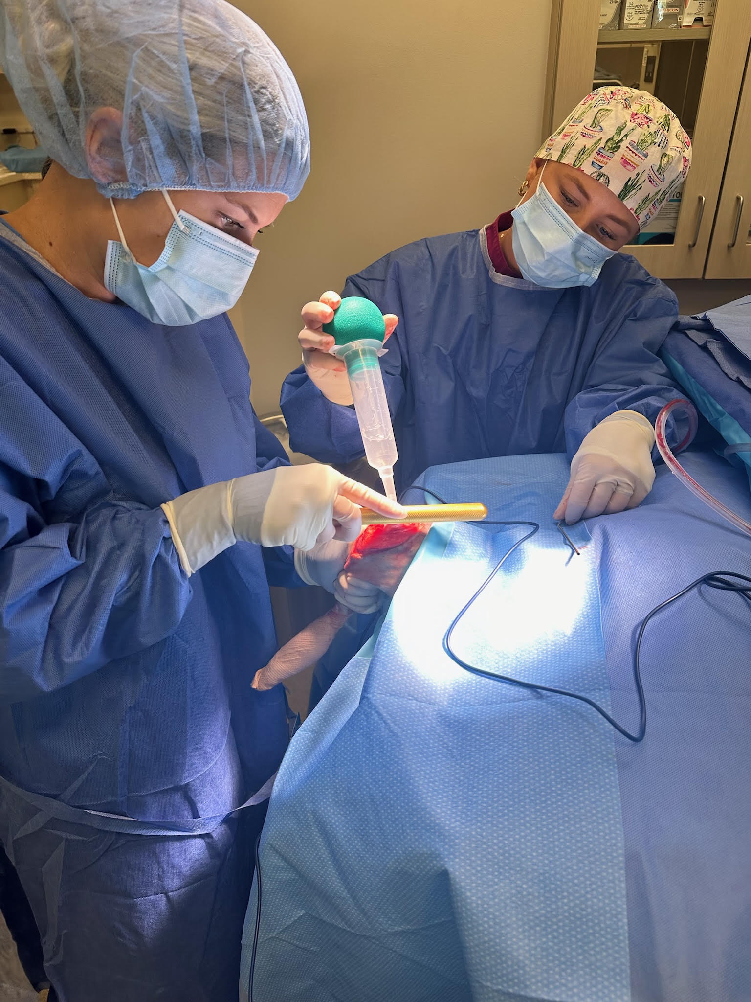 Patellar luxation surgery at Carson Animal Hospital