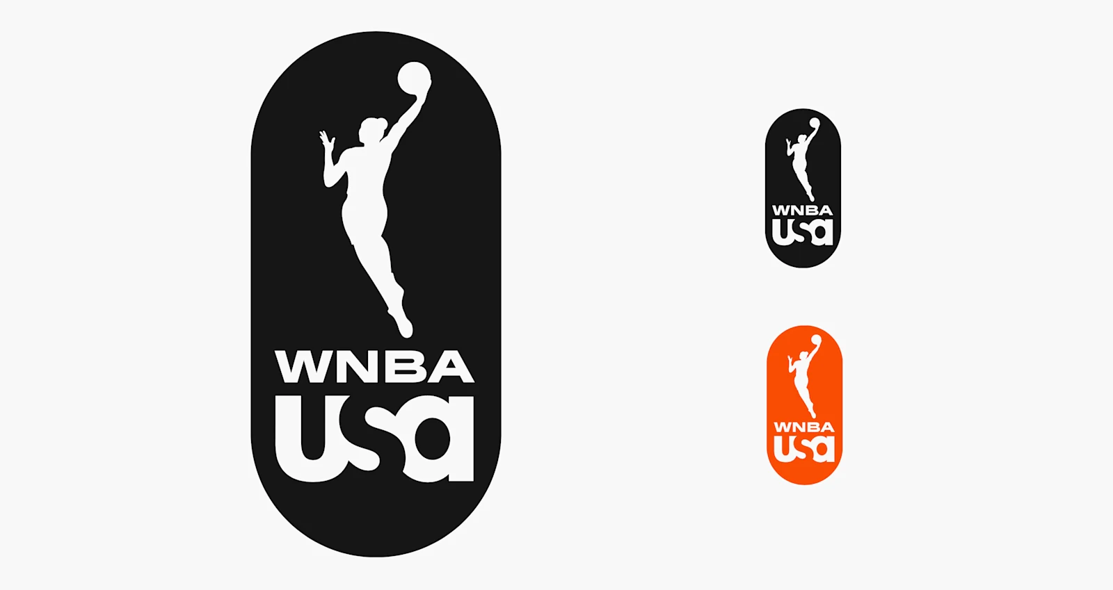 WNBA on USA logo exploration 1