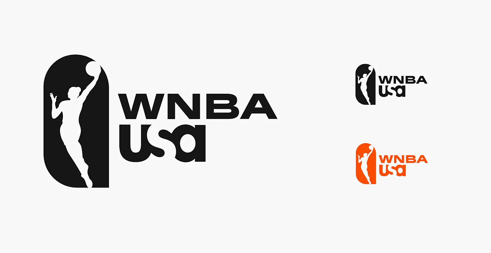 WNBA on USA logo exploration 5