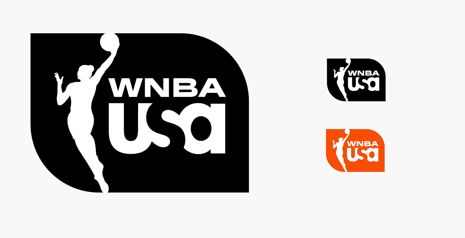 WNBA on USA logo exploration 6