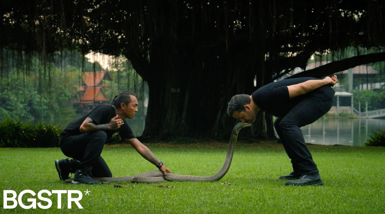 David Blaine: Do Not Attempt