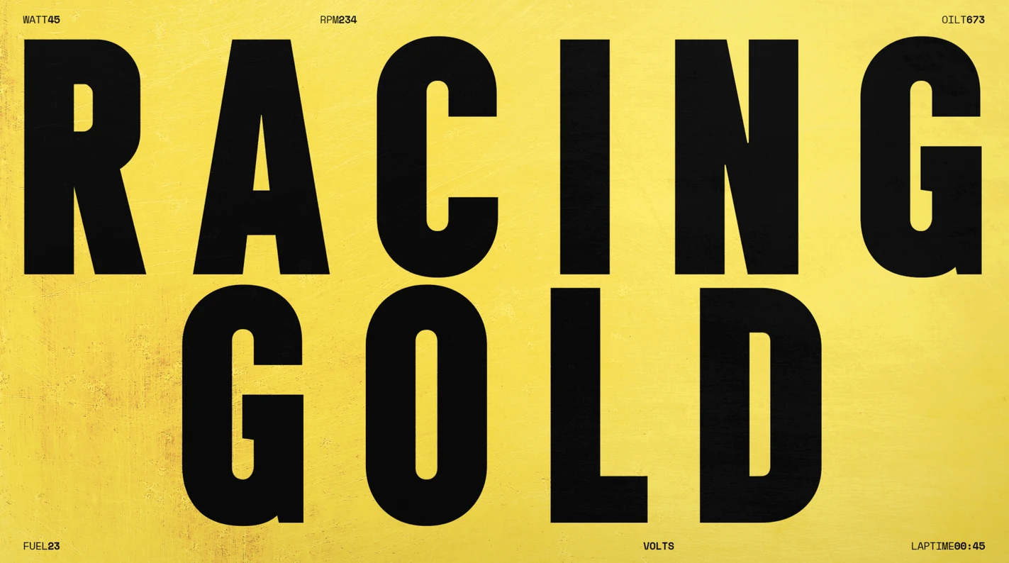 nascar_racinggold