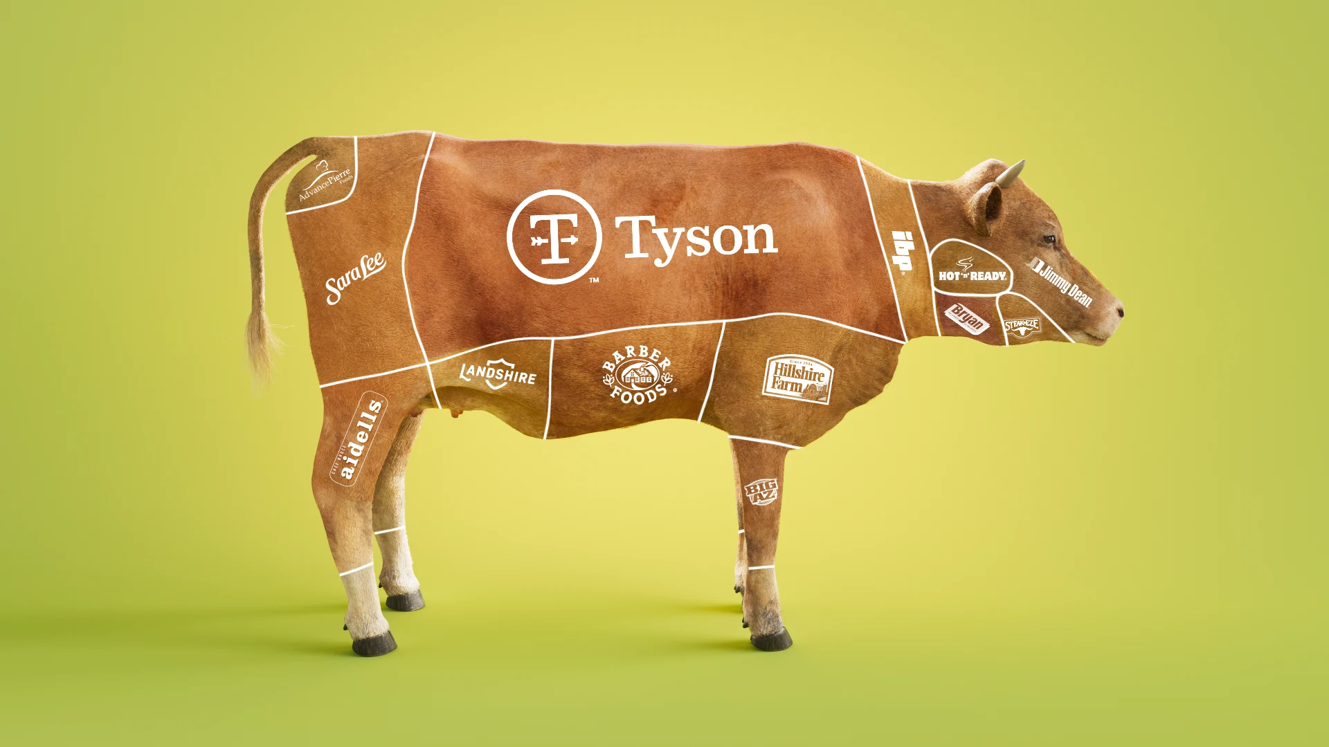 Tyson Cow