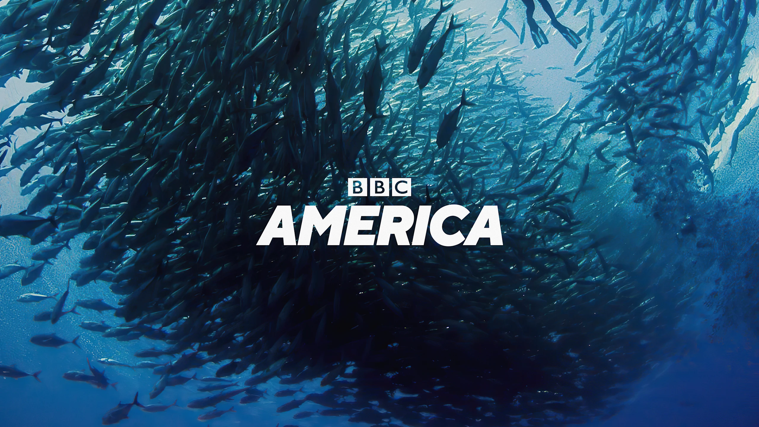 BBC Exploration