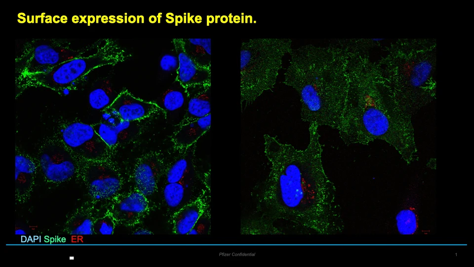 Mission Possible - Microscopic Images 4