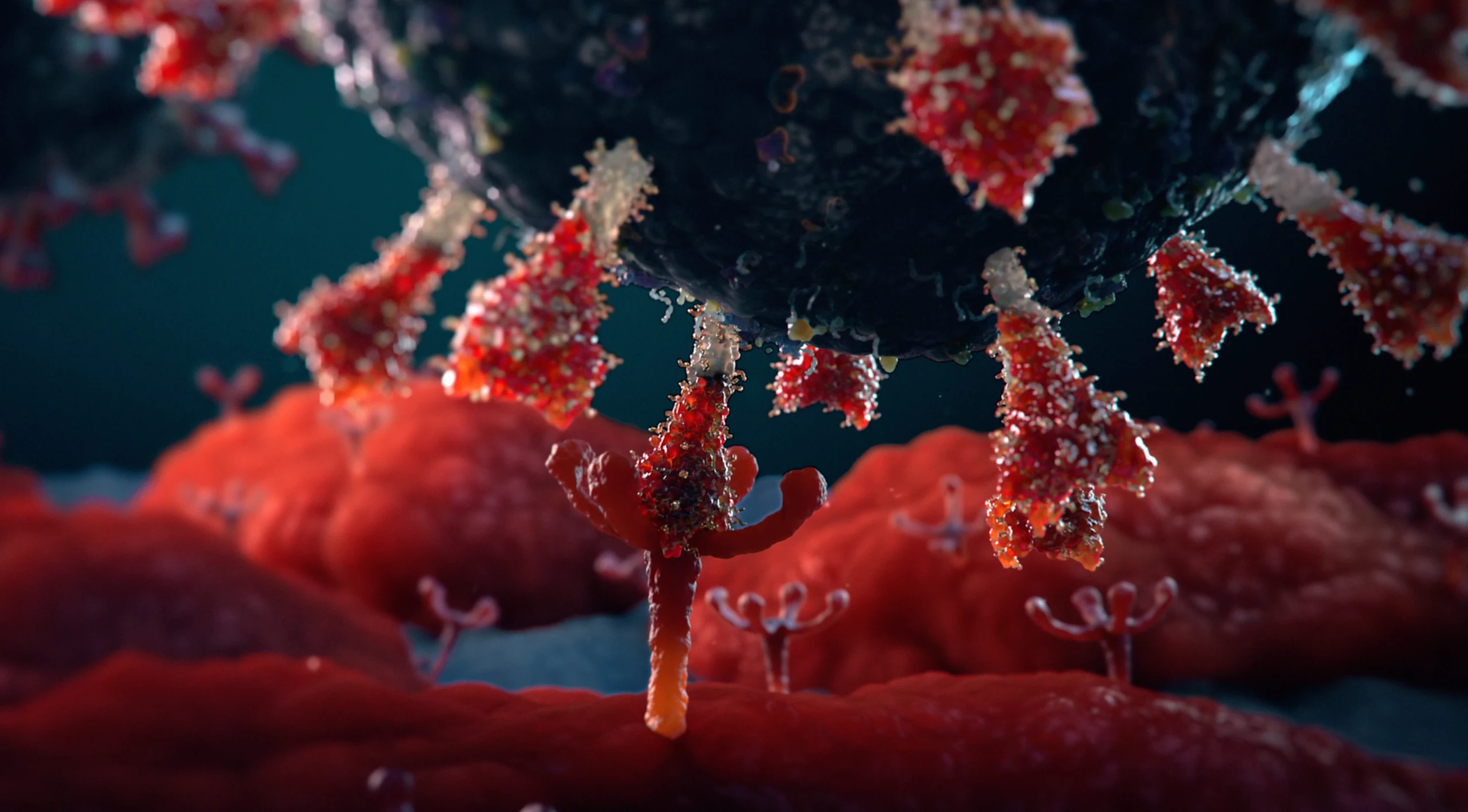 Mission Possible Image 1 - Virus