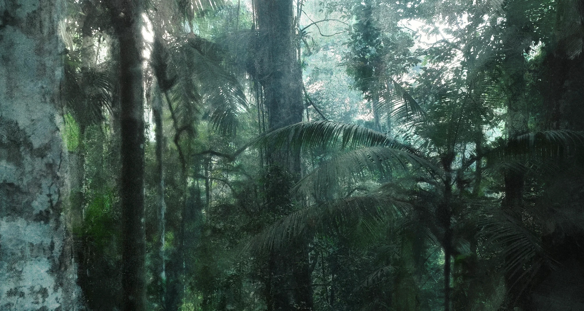 Footage and Illustration