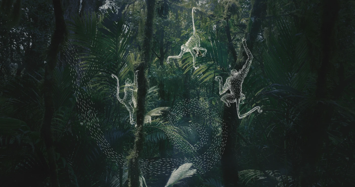 Footage and Illustration