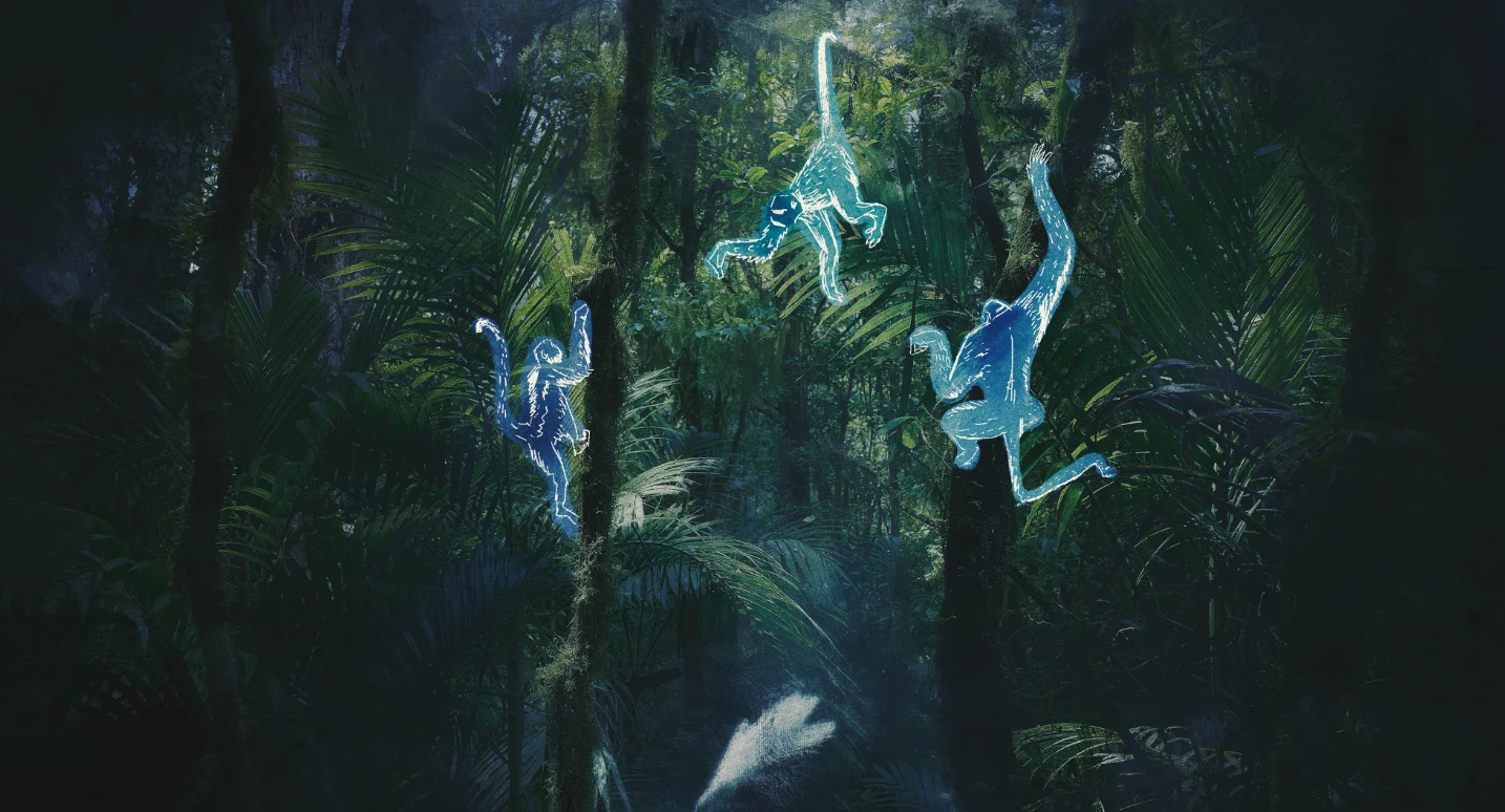 Footage and Illustration