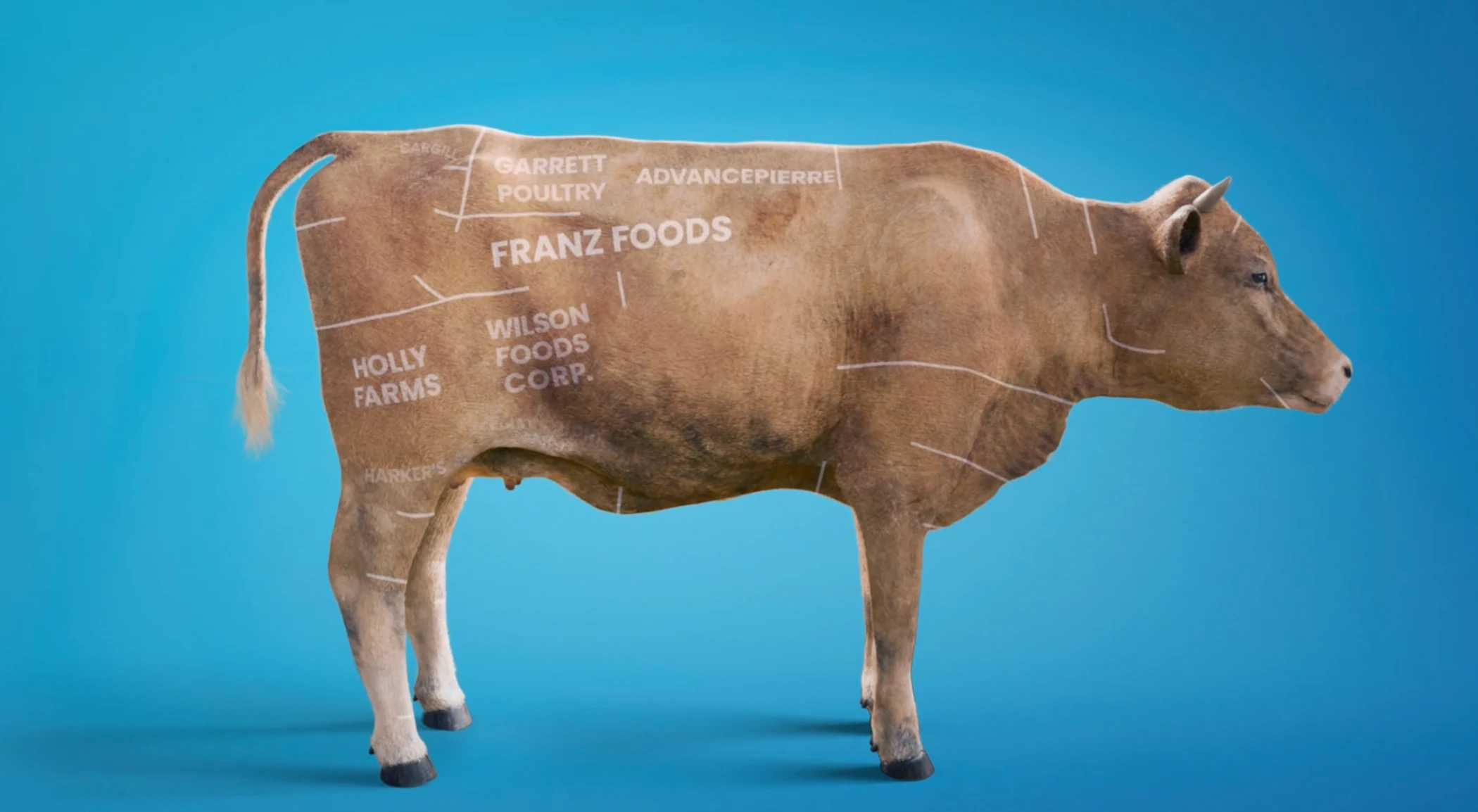Market Share / Tyson Cow
