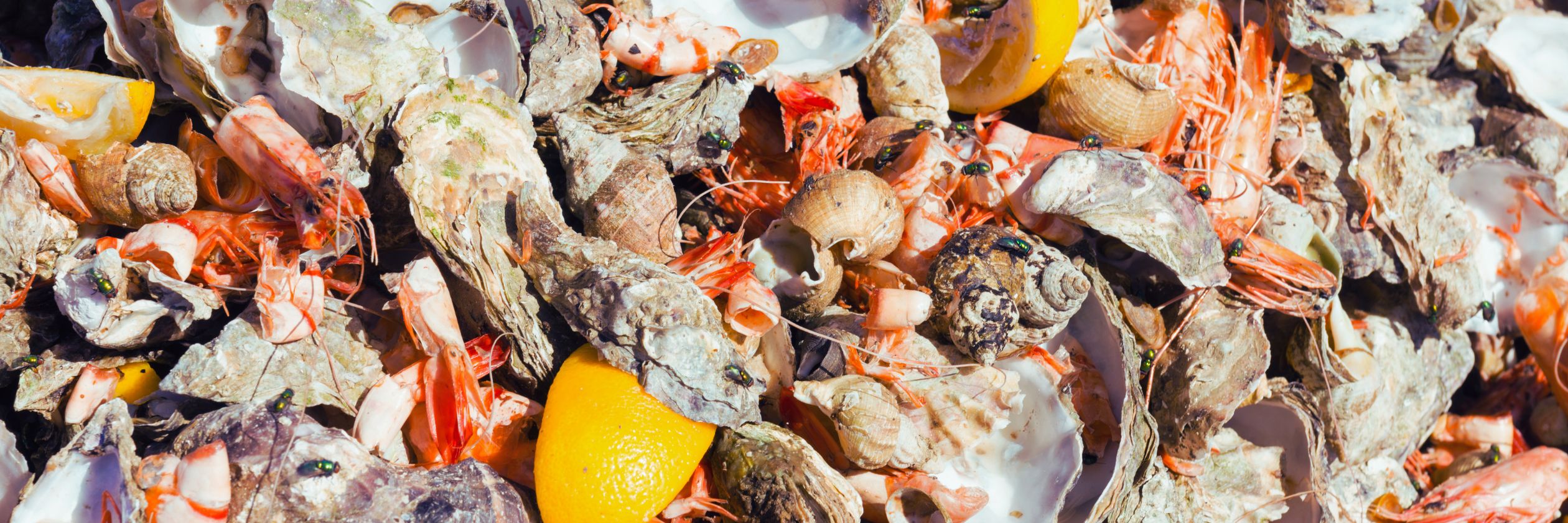 Fish & Seafood Processing