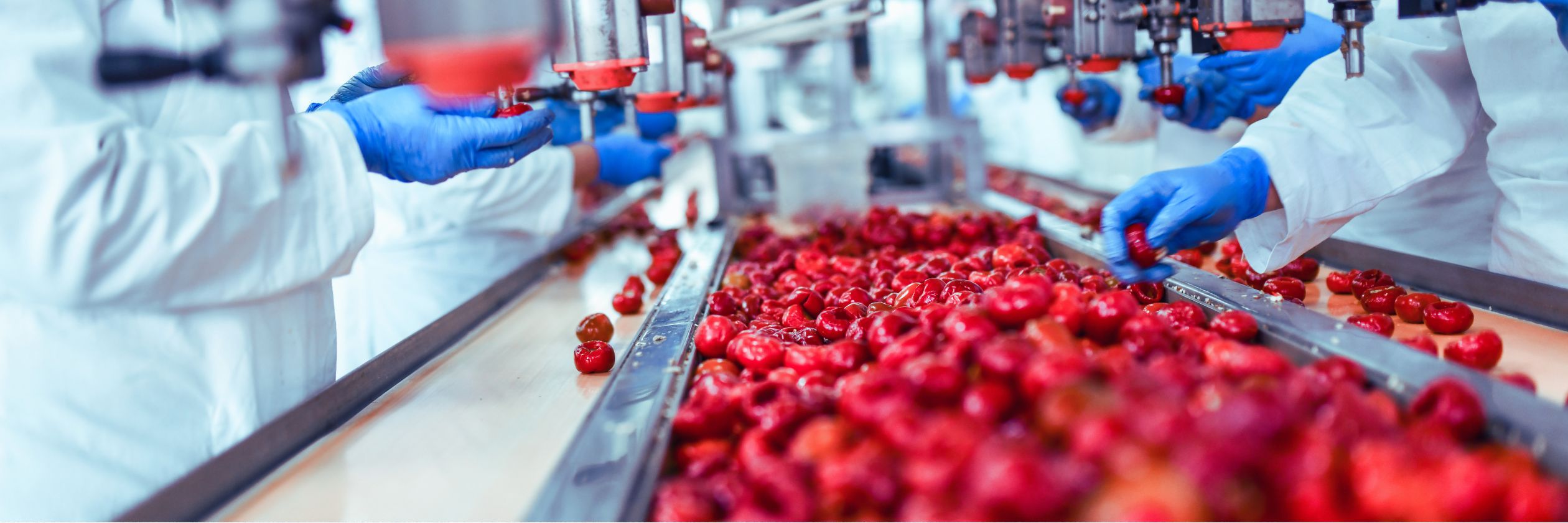 Agricultural Commodities Processing Industry