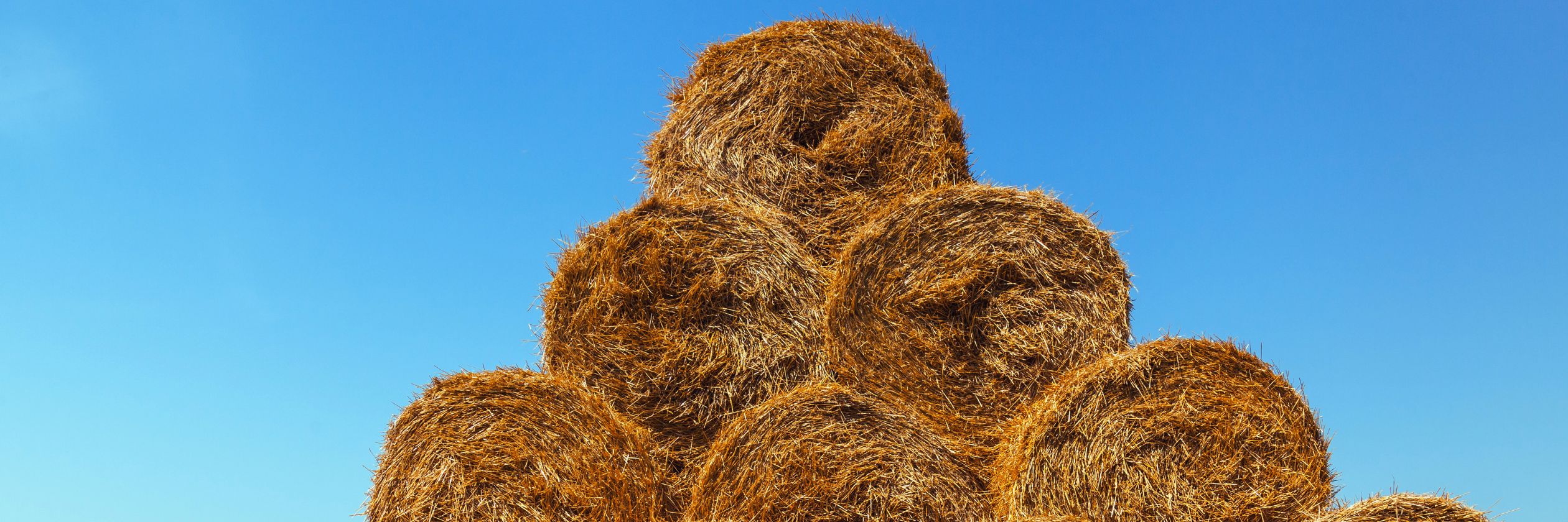 Hay & Forage Processing