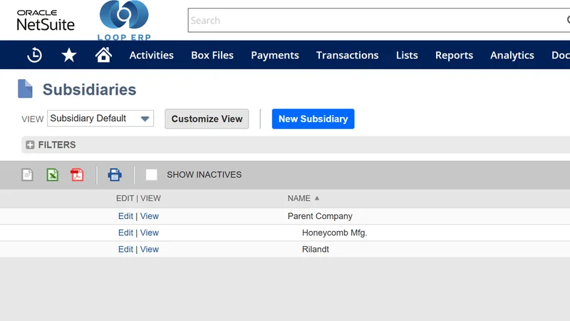 Multi-Entity Financials with NetSuite OneWorld demo screen in Loop ERP