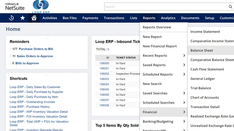 Financial Reporting demo screen in Loop ERP