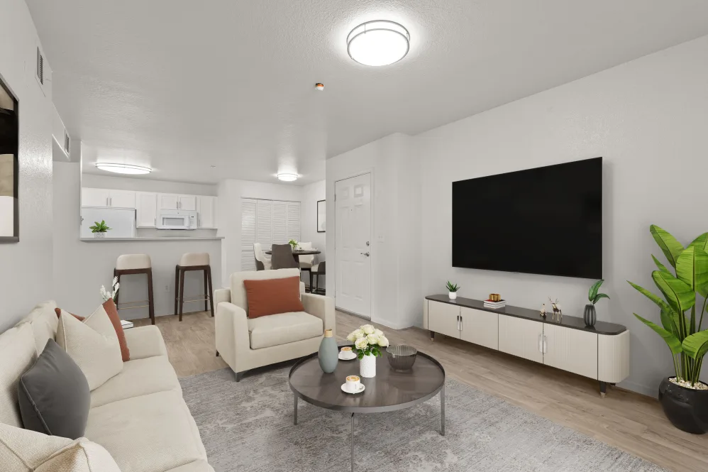 Furnished living room