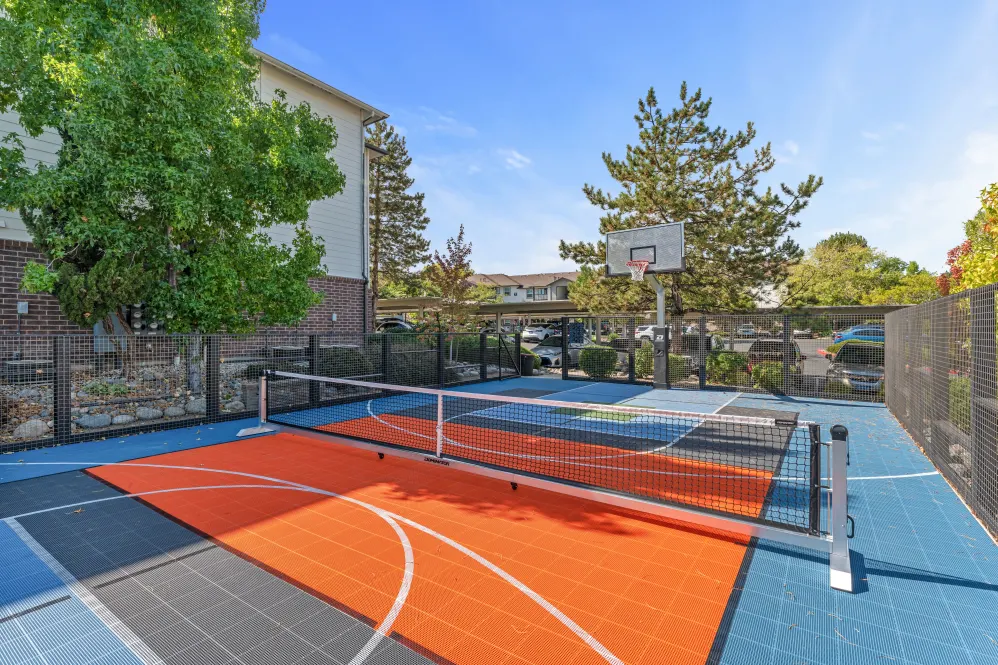 Basketball court