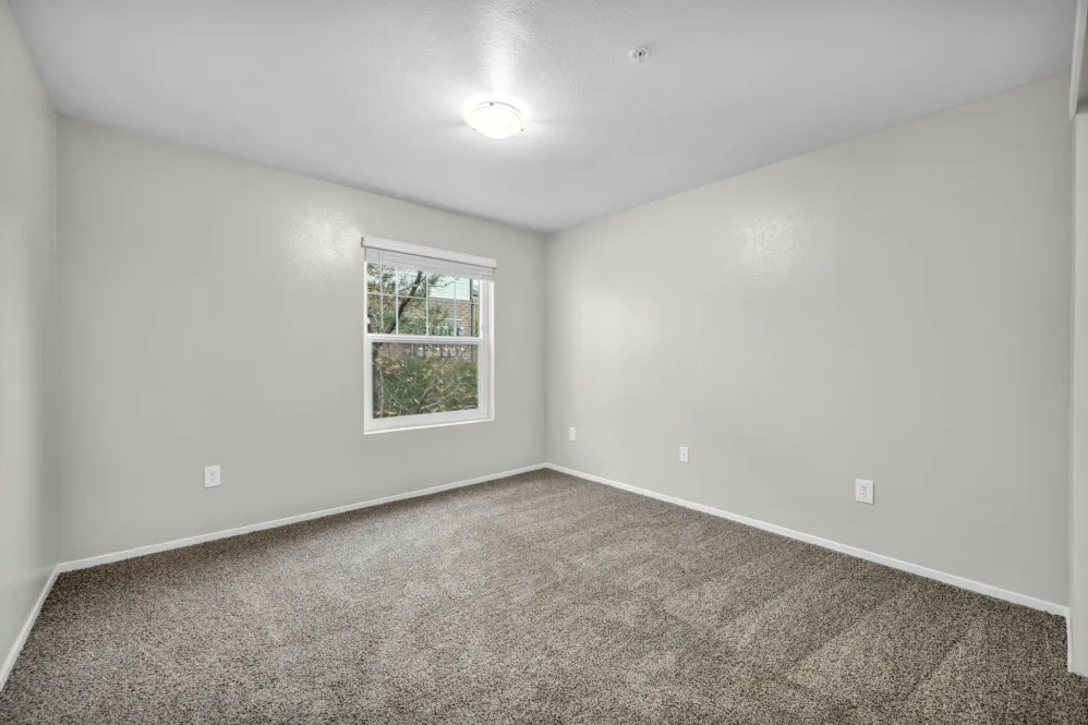 Empty bedroom with white walls and carpet