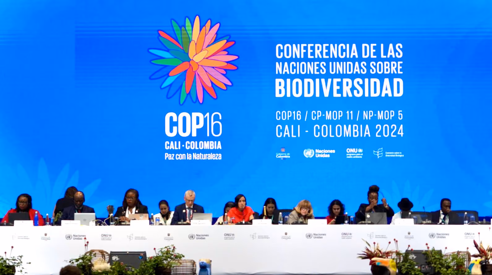 Plénière du 30 octobre, Cali, Colombie. ©UN Biodiversity / Flickr